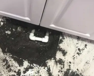 关岭查漏水哪家好